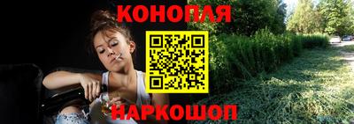 spice Донецк